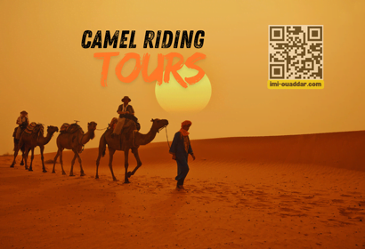 agadir camel riding